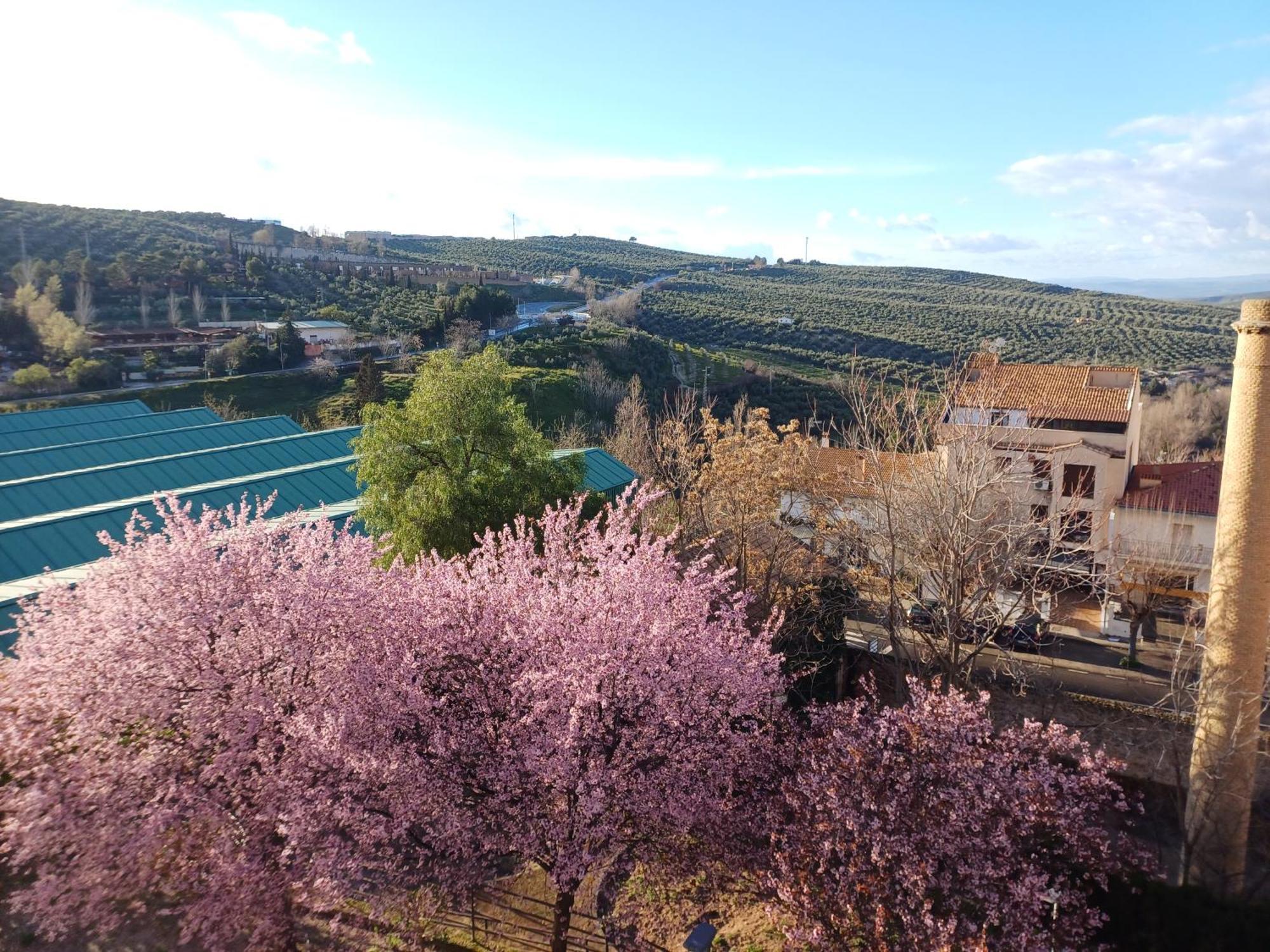 Апартаменты Cazorla Live Экстерьер фото